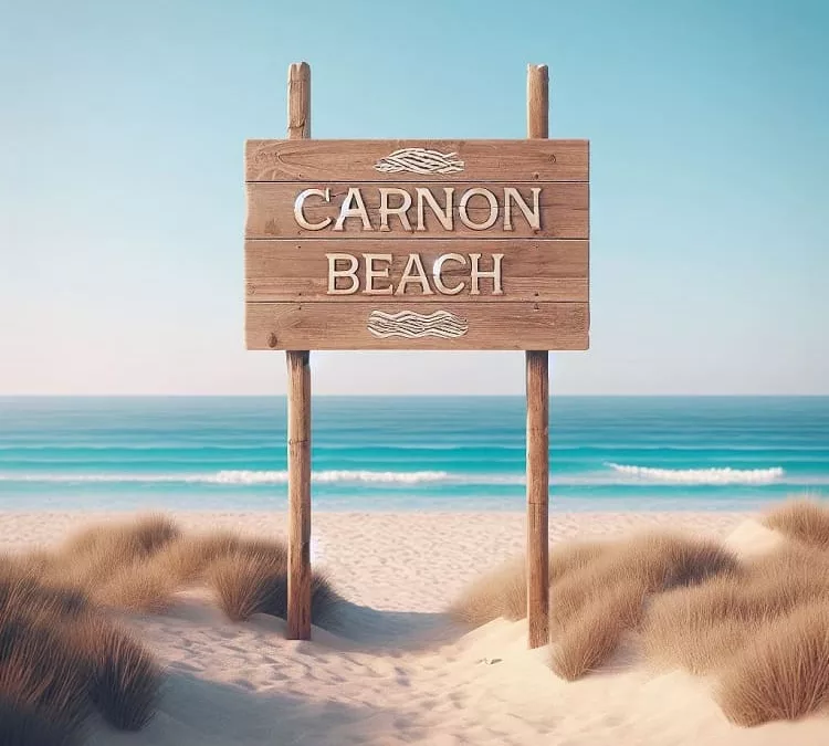 pancarte marqué carnon plage avec la mer et le sable en arrière fond